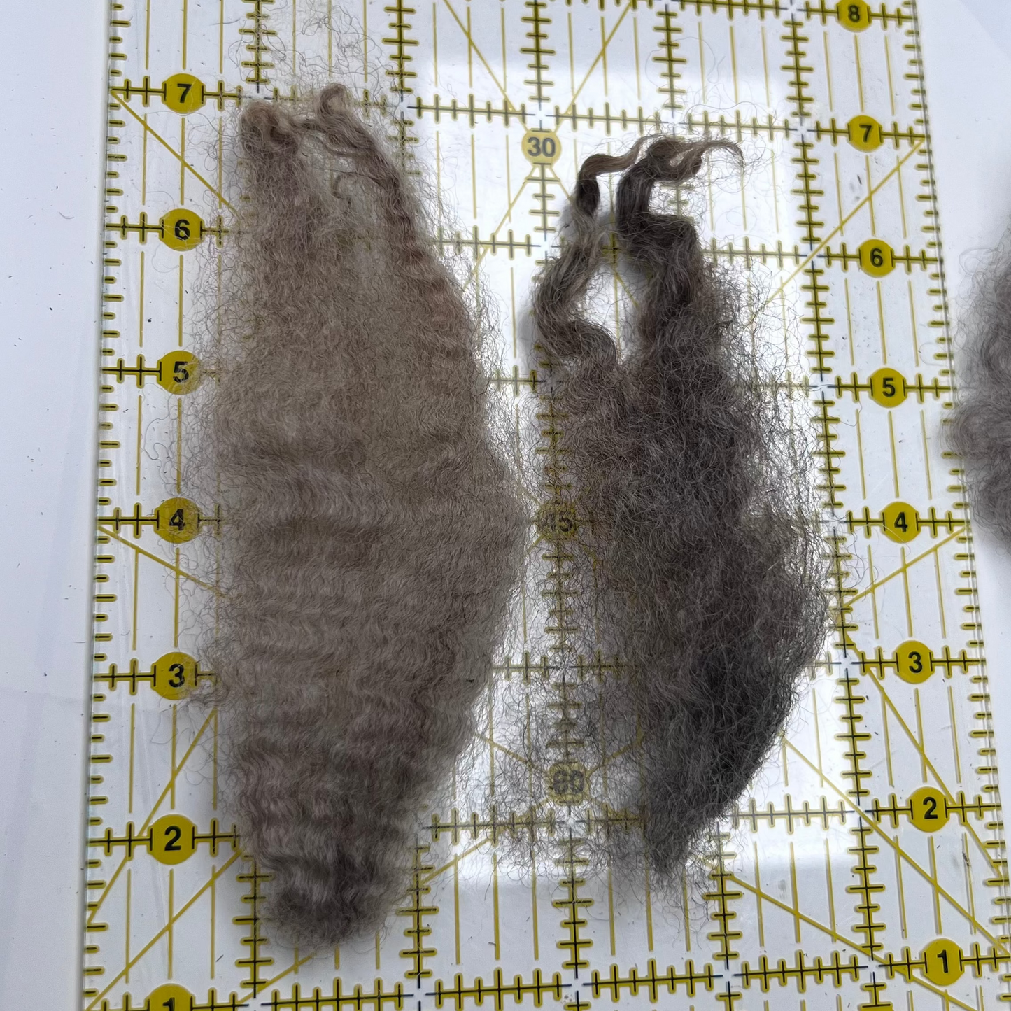 Woolie's Variegated Fleece - Premium Long Wool Sheep's Wool by the Ounce