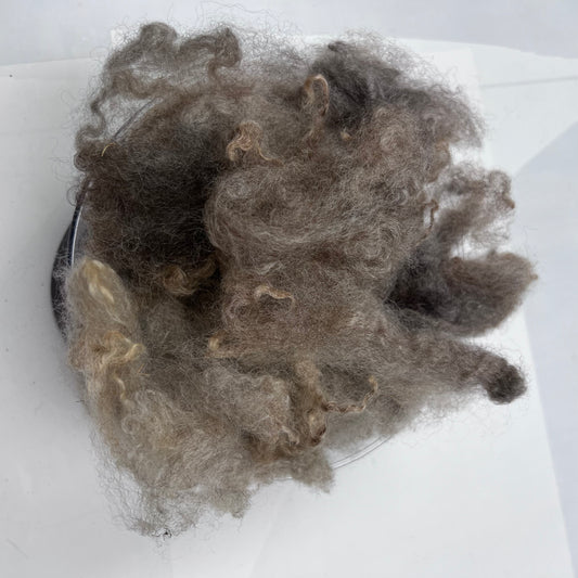 Woolie's Variegated Fleece - Premium Long Wool Sheep's Wool by the Ounce