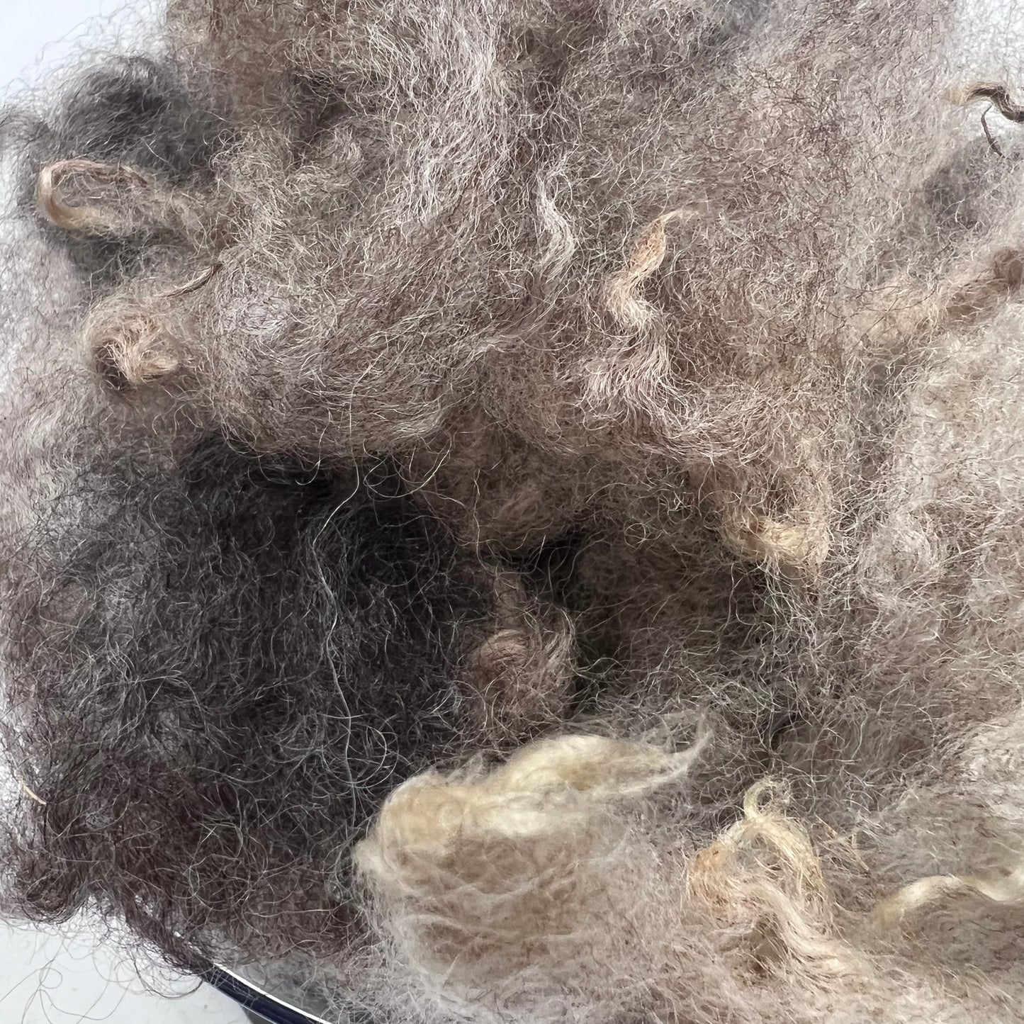 Woolie's Variegated Fleece - Premium Long Wool Sheep's Wool by the Ounce