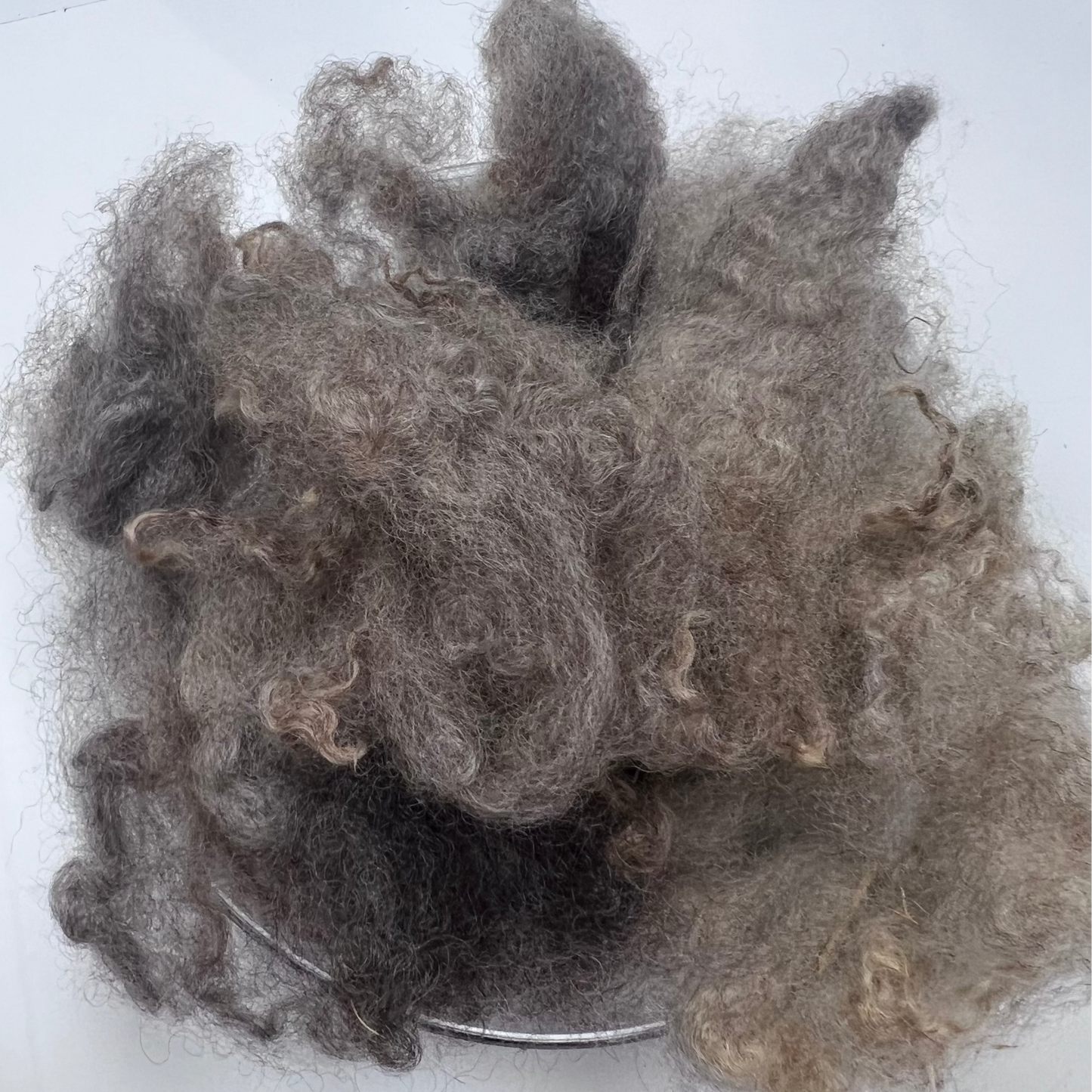Woolie's Variegated Fleece - Premium Long Wool Sheep's Wool by the Ounce