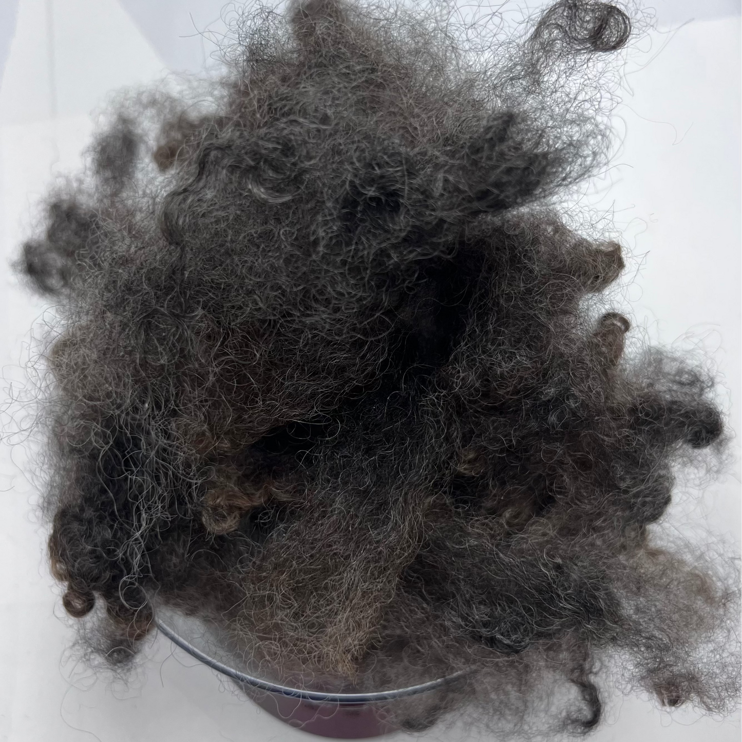 Dark Grey Delight - Premium Mixed Long Breed Sheep's Wool by the Ounce