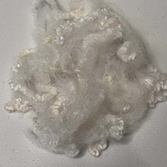 Natural White Delight - Premium Mixed Long Breed Sheep's Wool by the Ounce